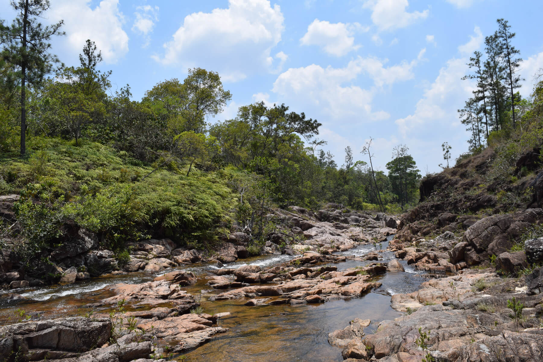 20 Acres with 1,300 ft along Privassion Creek in Mountain Pine Ridge